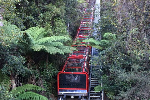 Blue Mountains Private Full-Day Tour From Sydney With Cruise - Pubs Perth 5