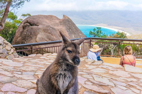 Wineglass Bay & Freycinet NP Full Day Tour From Hobart Via Richmond Village - Pubs Perth 0