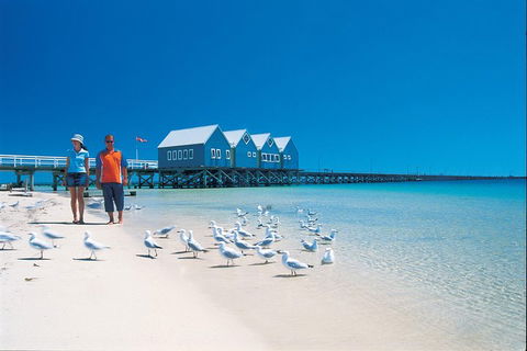 Margaret River And Geographe Bay Region Day Trip From Perth - Pubs Perth 0