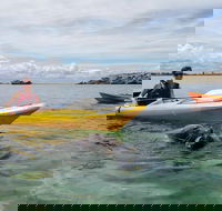 Seal Island and Penguin Island or Point Peron Sea Kayak Tour - Pubs Perth