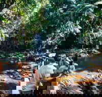 Aquaduck  Your choice of Gold Coast Rainforest Tour - Pubs Perth