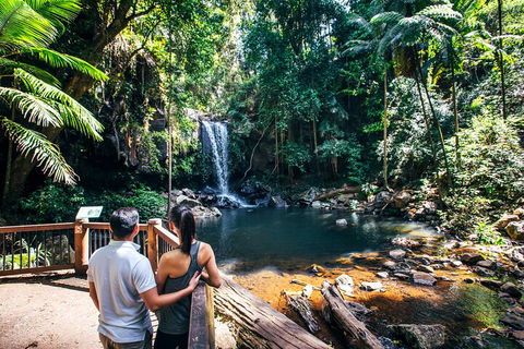Aquaduck & Your Choice Of Gold Coast Rainforest Tour - Pubs Perth 0