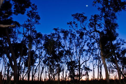 Small-Group Kangaroo Island 4WD Night Tour - Pubs Perth 2