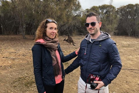 Kangaroo Island 4WD Tour - Best Of KI - Pubs Perth 3