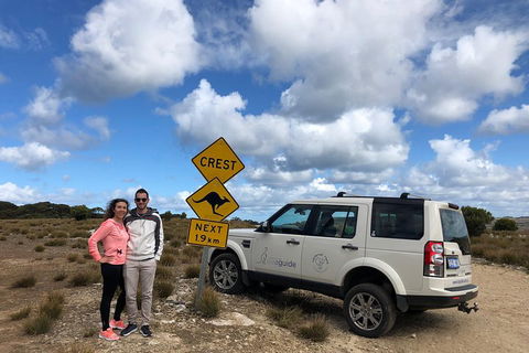 Kangaroo Island 4WD Tour - Best Of KI - Pubs Perth 5