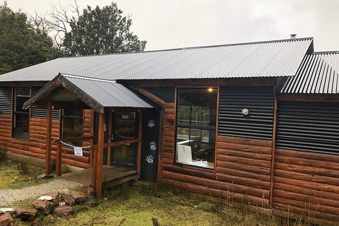 After Dark Tasmanian Devil Feeding Tour At Cradle Mountain - Pubs Perth 3