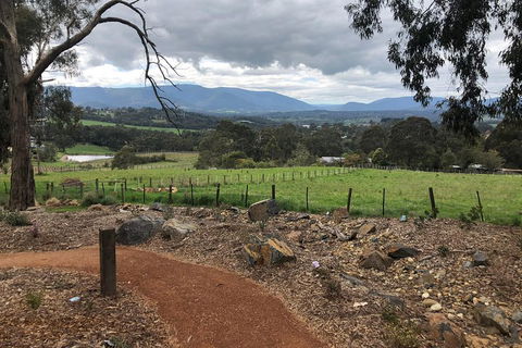 Yarra Valley Wine Tour Inc Lunch With A Glass Of Wine, Tastings And Chocolate - Pubs Perth 0