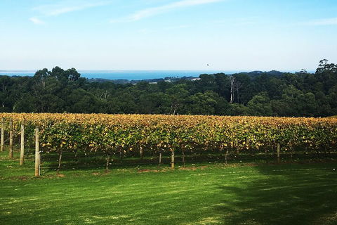 Yarra Valley Wine Tour Inc Lunch With A Glass Of Wine, Tastings And Chocolate - Pubs Perth 2