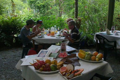 4-Day Cairns Ultimate Combo: Daintree Rainforest, Reef, Kuranda & Paronella Park - Pubs Perth 4