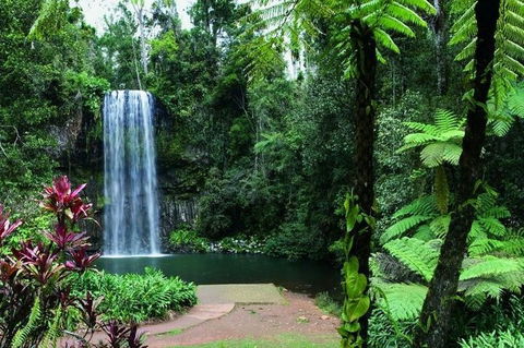 Paronella Park And Millaa Millaa Falls Full-day Tour From Cairns - Pubs Perth 3