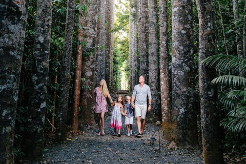 Paronella Park And Millaa Millaa Falls Full-day Tour From Cairns - Pubs Perth 5