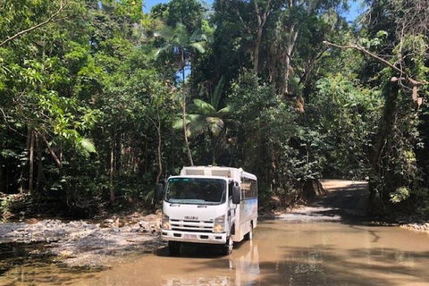 Cairns To Cooktown 4WD Tour - Pubs Perth 5