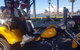 Eastern Sydney Panorama Trike Tour - thumb 1