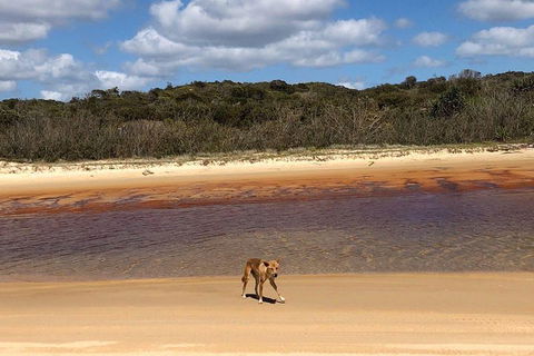 Pippies 3 Days 2 Nights Fraser Island Tour - Pubs Perth 2
