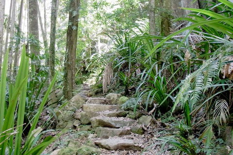 Byron Bay Combo: Minyon Falls And Hinterland Day Trip And Learn To Surf At Byron Bay - Pubs Perth 3