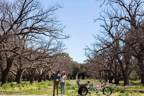 Adelaide 90-Minute Pedicab Tour: Scenic Green & River Experience - Pubs Perth 1