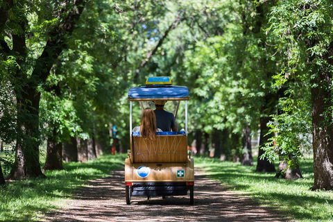 Adelaide 90-Minute Pedicab Tour: Scenic Green & River Experience - Pubs Perth 2