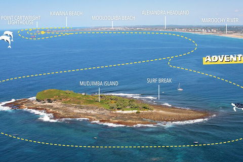 1.5HR Mudjimba Island Wildlife Safari - Pubs Perth 1