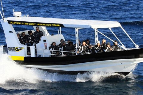 1.5HR Mudjimba Island Wildlife Safari - Pubs Perth 2
