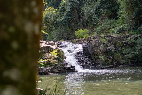 Full-Day Guided Hinterland Adventure Tour In Queensland - Pubs Perth 1