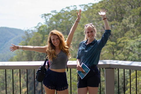 Full-Day Guided Hinterland Adventure Tour In Queensland - Pubs Perth 3