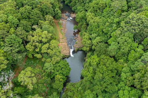 Full-Day Guided Hinterland Adventure Tour In Queensland - Pubs Perth 4