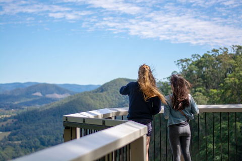 Full-Day Guided Hinterland Adventure Tour In Queensland - Pubs Perth 5
