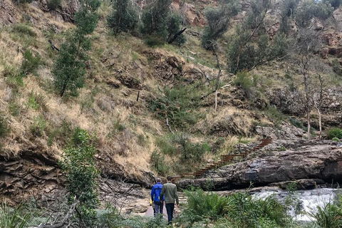 Grampians - Private Tour - Pubs Perth 0