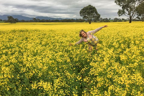 Grampians - Private Tour - Pubs Perth 3