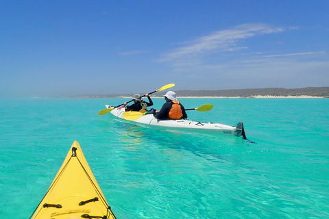 Lagoon Explorer - Ningaloo Reef Full-Day Kayaking And Snorkeling Adventure - Pubs Perth 0