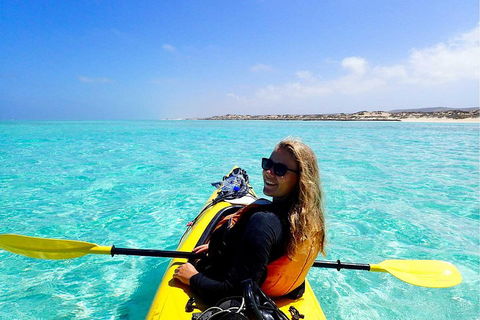 Lagoon Explorer - Ningaloo Reef Full-Day Kayaking And Snorkeling Adventure - Pubs Perth 1