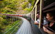 4-Day Cairns And Great Barrier Reef Tour - thumb 1