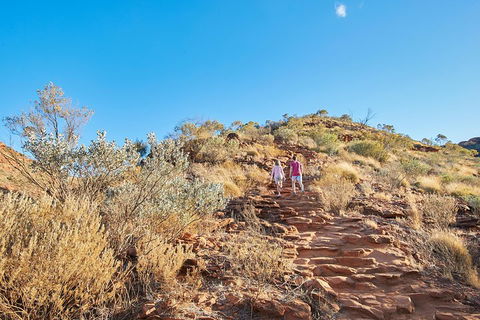 Kings Canyon Guided Rim Walk - Pubs Perth 1