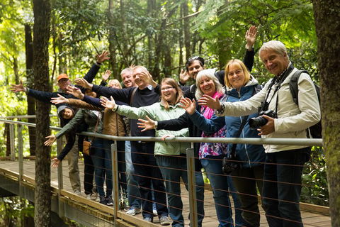 All Inclusive Blue Mountains Small-Group Day Trip From Sydney - Pubs Perth 5