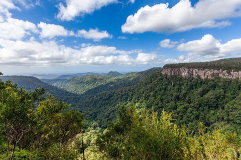 Natural Bridge & Springbrook Waterfalls Tour - Pubs Perth 1