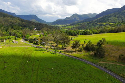 Natural Bridge & Springbrook Waterfalls Tour - Pubs Perth 2