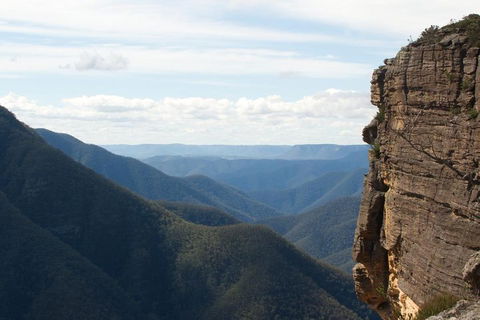 Inside The Greater Blue Mountains World Heritage - A Private Wildlife Safari Overnight - Pubs Perth 4