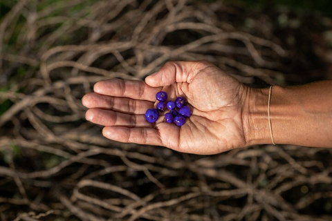 Cape Byron Aboriginal Tour - Pubs Perth 0