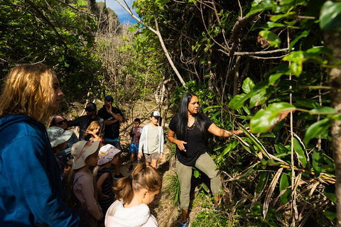 Cape Byron Aboriginal Tour - Pubs Perth 4