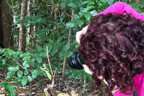 Let's Go Buggin & Let's Go Shroomin - Photography & Nature Walking Tours - Pubs Perth 1