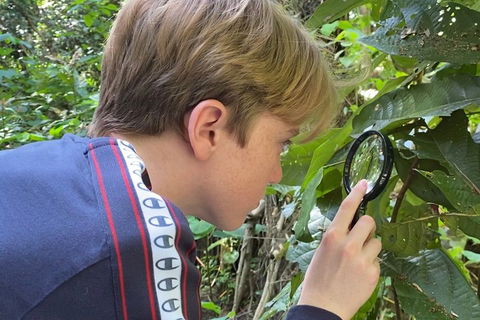 Let's Go Buggin & Let's Go Shroomin - Photography & Nature Walking Tours - Pubs Perth 3