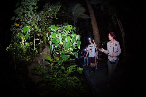 Let's Go Buggin & Let's Go Shroomin - Photography & Nature Walking Tours - Pubs Perth 4