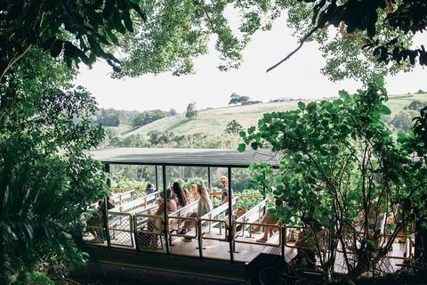 Tropical Fruit World Farm Full Tour - Pubs Perth 4