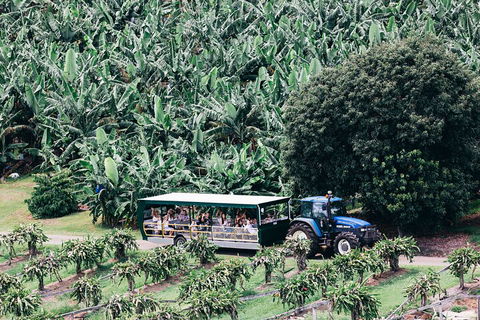 Tropical Fruit World Farm Full Tour - Pubs Perth 5