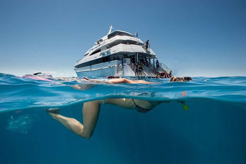 3 Day Great Barrier Reef, Daintree Rainforest And Outback Chillagoe Tour - Pubs Perth 0