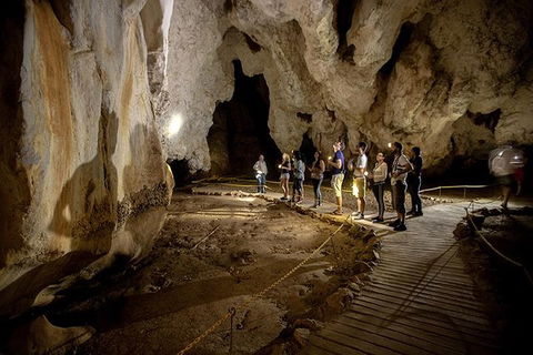 3 Day Great Barrier Reef, Daintree Rainforest And Outback Chillagoe Tour - Pubs Perth 1