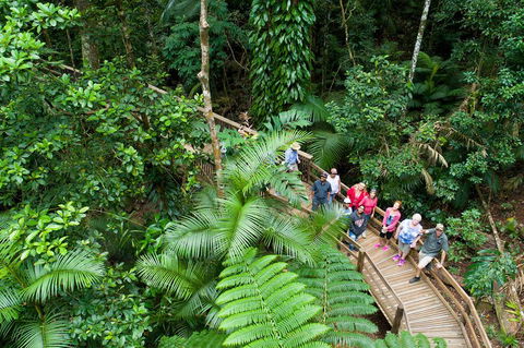 3 Day Great Barrier Reef, Daintree Rainforest And Outback Chillagoe Tour - Pubs Perth 2