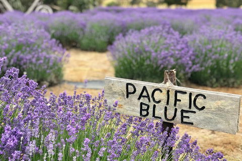 Kangaroo Island Food And Wine Trail Tour - Pubs Perth 0