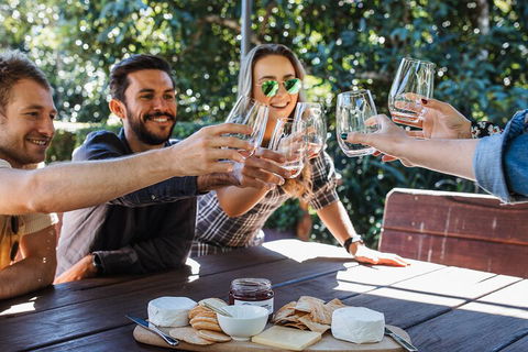 Full-day Wine-Tasting And Tamborine Mountain Tour With Lunch - Pubs Perth 0