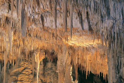 Margaret River, Caves, Wine And Cape Leeuwin Lighthouse Tour From Perth - Pubs Perth 3